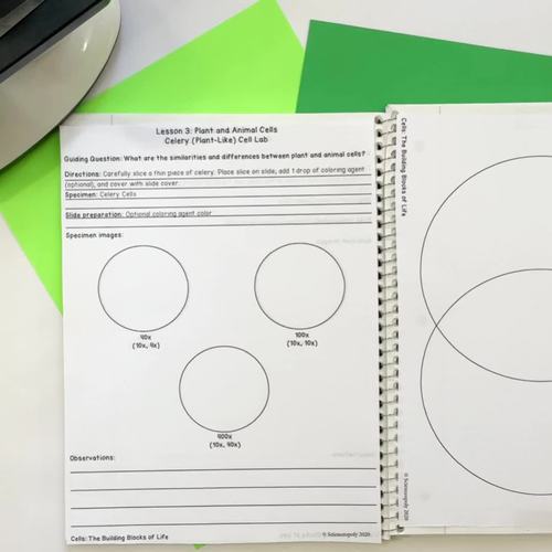 Plant and Animal Cells Microscope Lab and Cell Organelle Worksheets