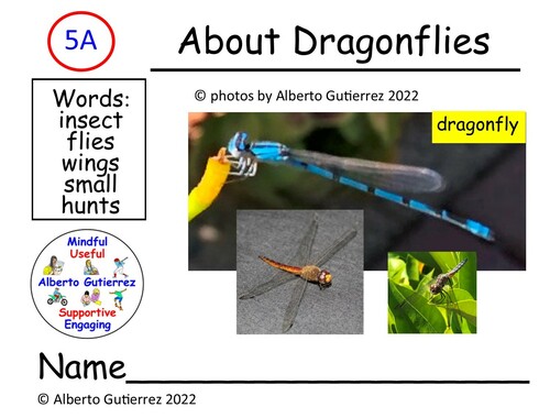 Preview of Read Aloud Video: About Dragonflies #5A