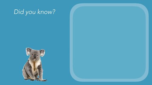 Preview of Facts about Koalas!