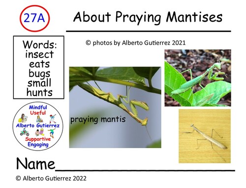 Preview of Read Aloud Video: About Praying Mantises #27A