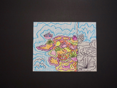 Preview of Let's Draw a Coral Reef!