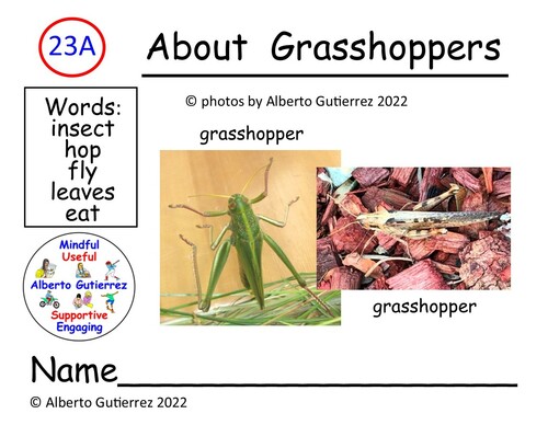 Preview of Video: About Grasshoppers #23A