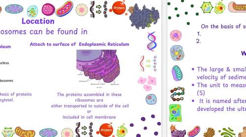Biology: Ribosomes, structure and function by Biochemistry by Noor