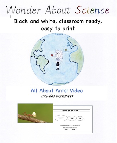 Preview of All About Ants! Video and Worksheet