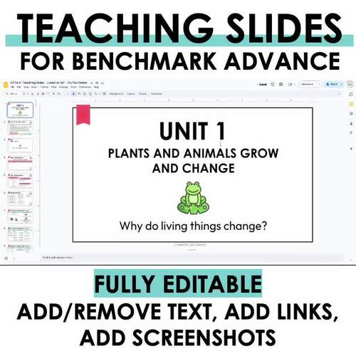 Units 1-5 Teaching Slides HALF-YEAR BUNDLE | First Grade | Benchmark ...