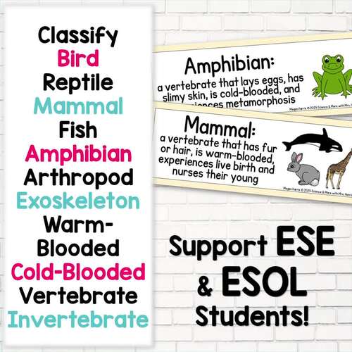 Classifying Animals Vocabulary Posters Science Word Wall | TPT