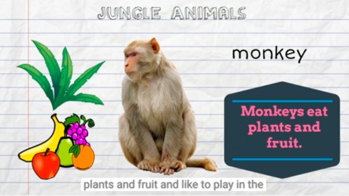 Preview of Jungle Animals 2