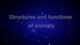 Structures and functions of animals - High-quality HD anim