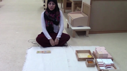 Preview of Montessori Division with the Decimal System Materials (Concrete)