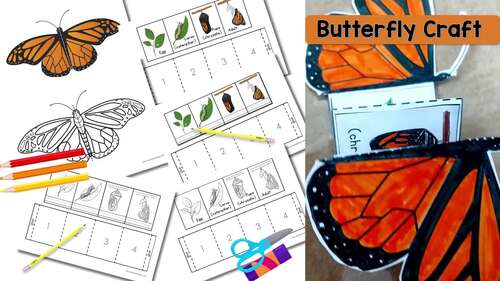 Butterfly Life Cycle Accordion Craft – Interactive Science Activity!