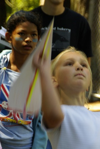Preview of Paper Gliders - engineering, craft & aerodynamics - video & printed lesson plan