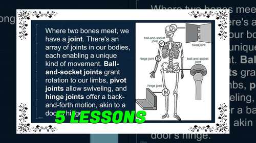 Life Science Reading Comprehension Powerpoints Human Body Systems