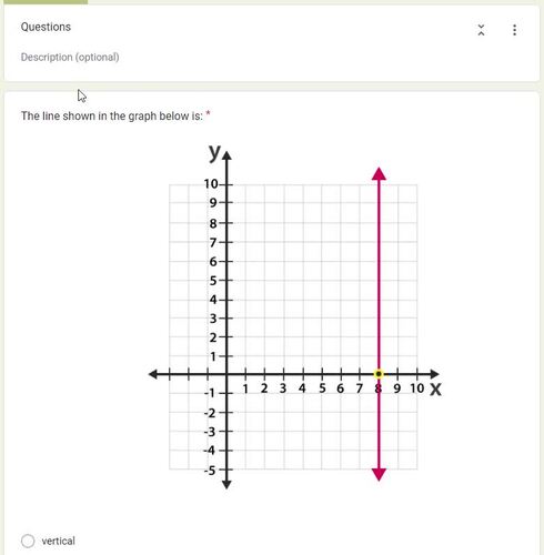 Vertical and Horizontal Lines Google Forms Self Grading by On