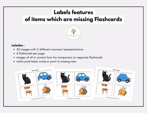 What is missing? Identify missing features Flashcards (ABLLS-R aligned G28)