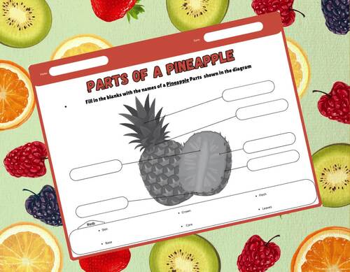 Pineapple Anatomy Diagram:Parts of a Pineapple Worksheets,Labeling ...