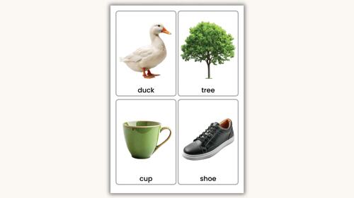 One-Syllable Words Flashcards | Real Photo Vocabulary Cards | Phonics ...