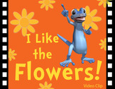 I Like the Flowers Song and Activities