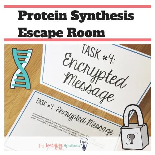 Protein Synthesis Activity Escape Room Review TPT