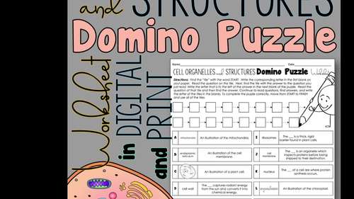 Cell Organelles and Structures Domino Puzzle Worksheet Activity Print