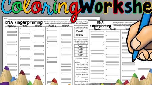 DNA Fingerprinting Coloring Worksheet in Digital and Print ...