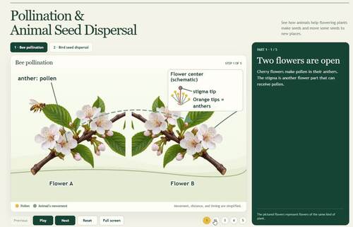 Pollination & Seed Dispersal Interactive Science Lesson | Bees, Birds ...