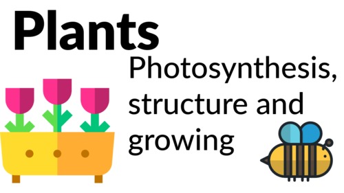 Preview of Plants - Photosynthesis, structure and growing! [Grades 3, 4, 5]