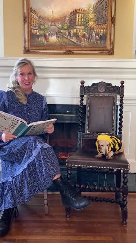 Preview of Saint Domnoc and The Bees - A Story from Ireland