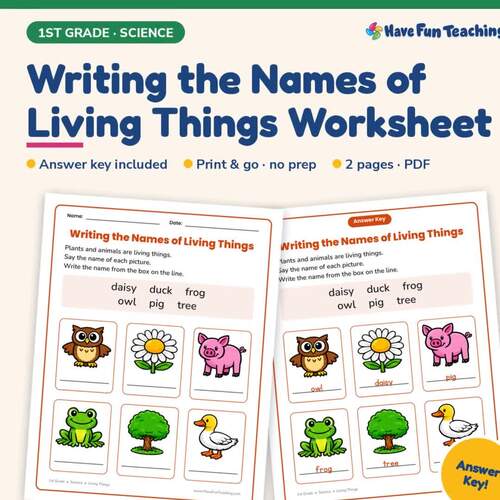 Writing the Names of Living Things Worksheet with Answer Key | TPT