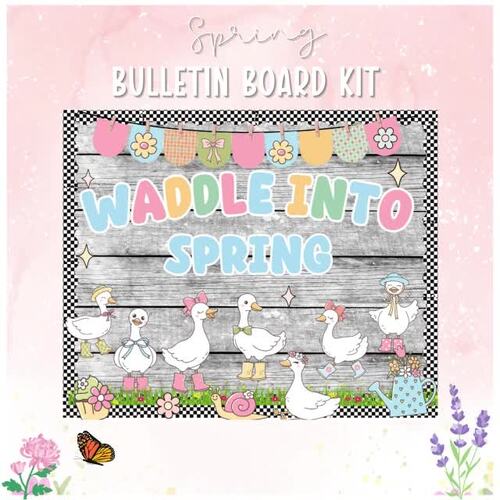 Back to School Bulletin Board Groovy Silly Goose Spring Door Decor