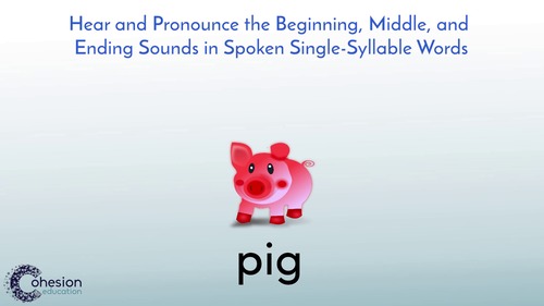 Preview of Understanding Spoken Words, Syllables & Sounds