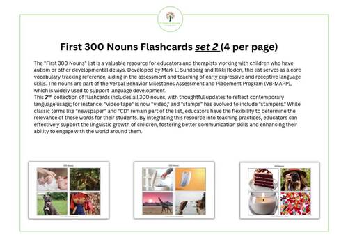300 Common Nouns Flashcards BUNDLE set (ABBLS-R, VB-Mapp aligned)