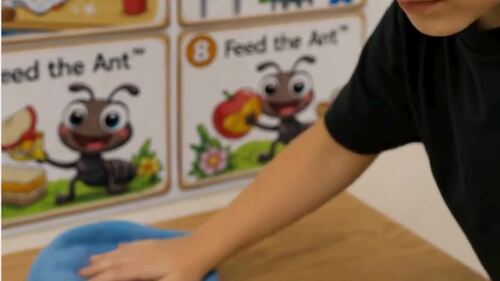 Feed the Ant™ Routine & Life Skills Game | Task Analysis | Visual Sequence Cards