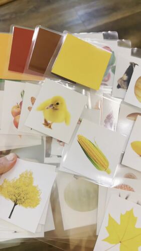 Fall Color Matching by The Willow School | TPT