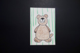 Let's Draw a Baby BROWN Bear!