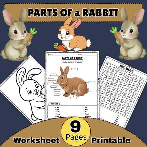 Parts Of a Rabbit Worksheet | Rabbit Diagram Labeling Activity, Animals ...