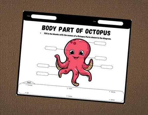 Body Parts of a Octopus : Labeled Worksheet Diagram,Coloring,Word ...