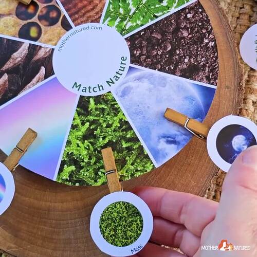 Nature Matching Activity Nature Activity Nature Printable by Mother