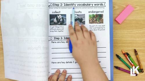 Reading Comprehension Passages and Questions by Lyndsey Kuster | TPT