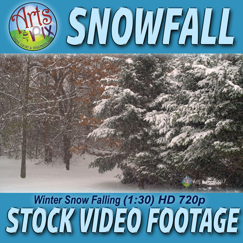 Preview of Stock VIDEO Footage - "SNOWFALL: Winter Snow Falling" - NATURE Video Sequence
