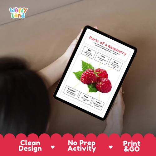 Parts of a Raspberry Labeling Activity Berry Anatomy & Botany Science ...