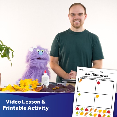 Preview of Sort The Leaves - Video Lesson & Activity Download