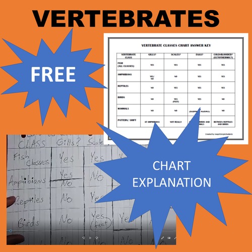 Vertebrate (Chordate, Chordata) Classes Chart VIDEO by KeepItSimpleStudents