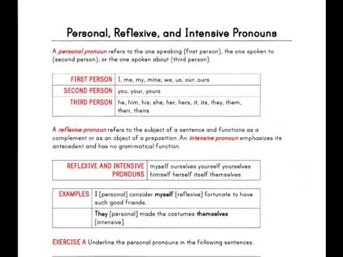 Pronouns Personal Possessive Relative Intensive Reflexive Ela Worksheets