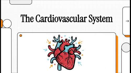 NCLEX Cardiovascular System Review | RN & LPN Study PowerPoint | TPT