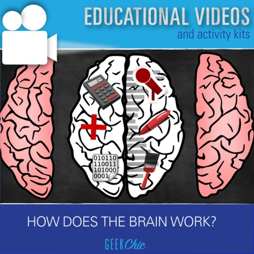 Preview of Growth Mindset - Brain Science / Anatomy How does the brain work? VIDEO KIT
