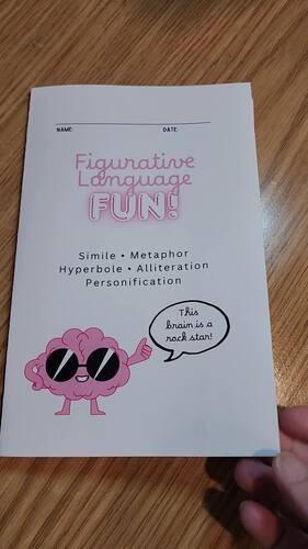 Figurative Language Fun! booklet