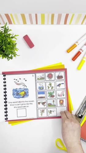 The Tiny Seed Adapted Book – Life Cycle of Plants, Spring Activity