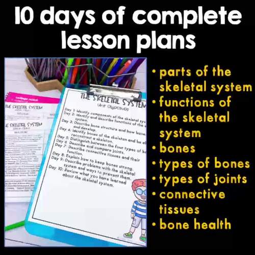 Skeletal System complete unit with lesson plans, fact book, and activities