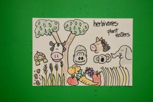 Preview of Let's Draw Animals that are Herbivores!