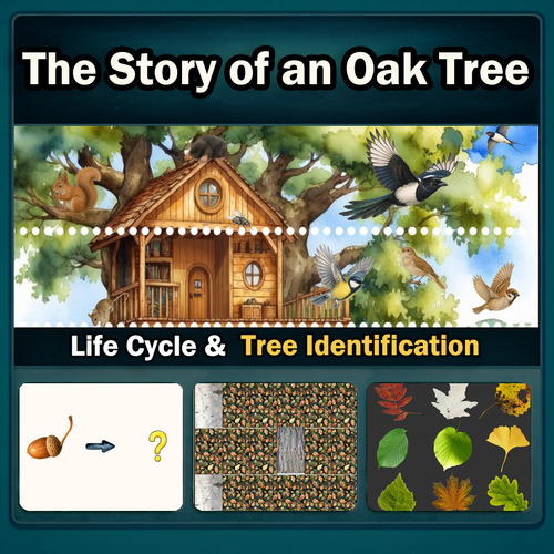 Preview of The Story of an Oak Tree: Life Cycle & Tree Identification